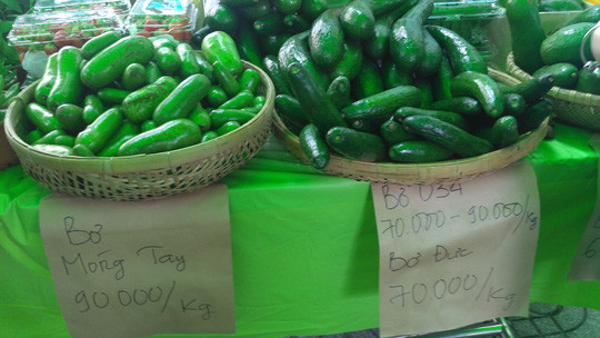 Bơ móng tay siêu nhỏ bên cạnh các loại bơ thông thường.