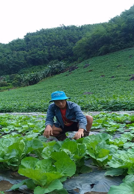 "Hot boy" lam vuon rau 200 trieu xanh den "phat hon"-Hinh-3