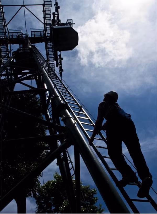 Hiện nay, hệ thống cáp thả chỉ có một chiều đi xuống, vì vậy thay vì việc di chuyển từ điểm này tới điểm kia trên dây như "Tarzan" xịn thì các chàng "Tarzan" ở Bà Nà chỉ còn cách đi đường rừng hoặc leo lên cabin qua đường trụ cáp để đến được điểm tiếp theo.