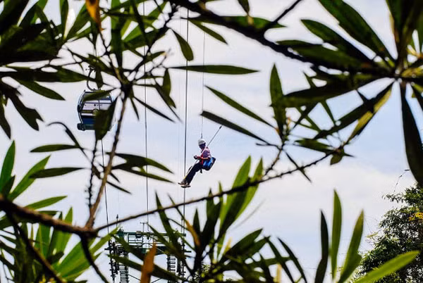 ...và các chàng "Tarzan" đu dây xuống rừng nhặt rác. Việc đu dây sẽ giúp nhặt rác ở những địa hình hiểm như trên tán cây, ngọn cây, trên vách núi, chỏm đá trên thác...