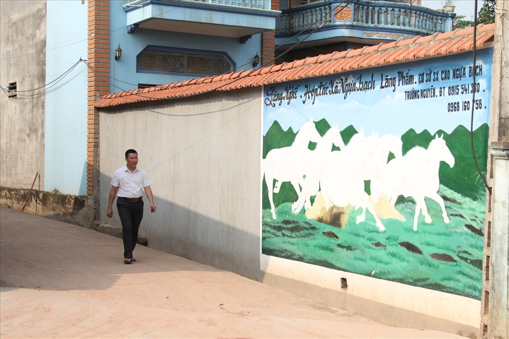 Các hộ dân làng Phẩm nuôi ngựa từ những năm 1990, ban đầu chỉ nuôi ngựa đỏ, ngựa đen để phục vụ kéo xe thồ. Sau đó thấy ngựa bạch có hiệu quả kinh tế cao hơn nên họ quyết định chuyển sang nuôi ngựa bạch. 