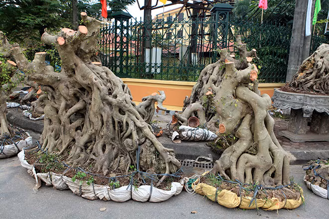 Để có được "chỗ đứng" trong khu trưng bày, các tác phẩm phải qua vòng sơ tuyển.