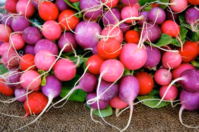 5 loai rau cu sac so nen trong trong nha dau xuan-Hinh-14