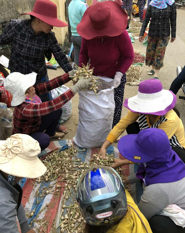Tỏi tươi được bán la liệt tại lề đường ở chợ Lý Sơn.