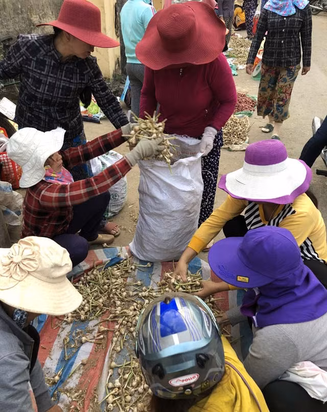 Tỏi tươi được bán la liệt tại lề đường ở chợ Lý Sơn.