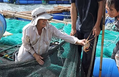 Tom hum Ly Son sieu dat bat ngo chet hang loat