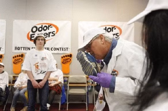 Các chuyên gia đánh hơi tàu vũ trụ phải có khả năng đọc các chất hoá học trên đồ vật sau khi ngửi.