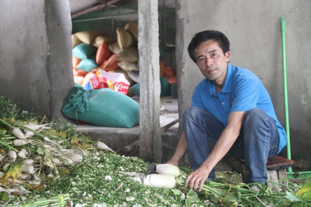 Cựu binh Lê Hữu Thảo chế biến nông sản làm thức ăn cho đàn vịt biển.