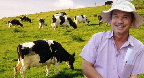 Doanh thu bán bò của bầu Đức giảm 8 lần so với cùng kỳ 2016.