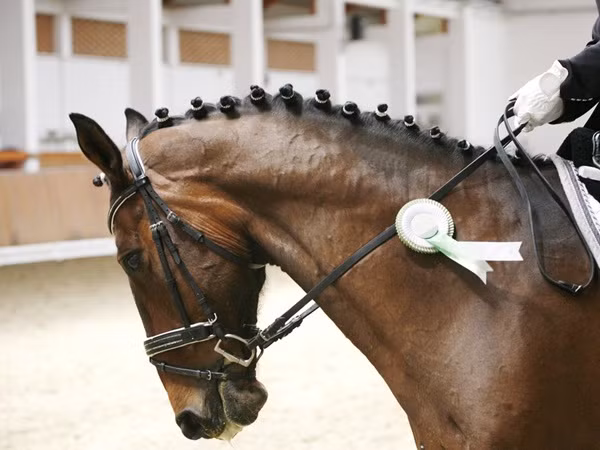 Theo Liên đoàn Cưỡi ngựa Hoa Kỳ, trong môn nhảy ngựa, Gates đang giữ vị trí thứ 19, trong khi Jobs đứng ở vị trí thứ 23.