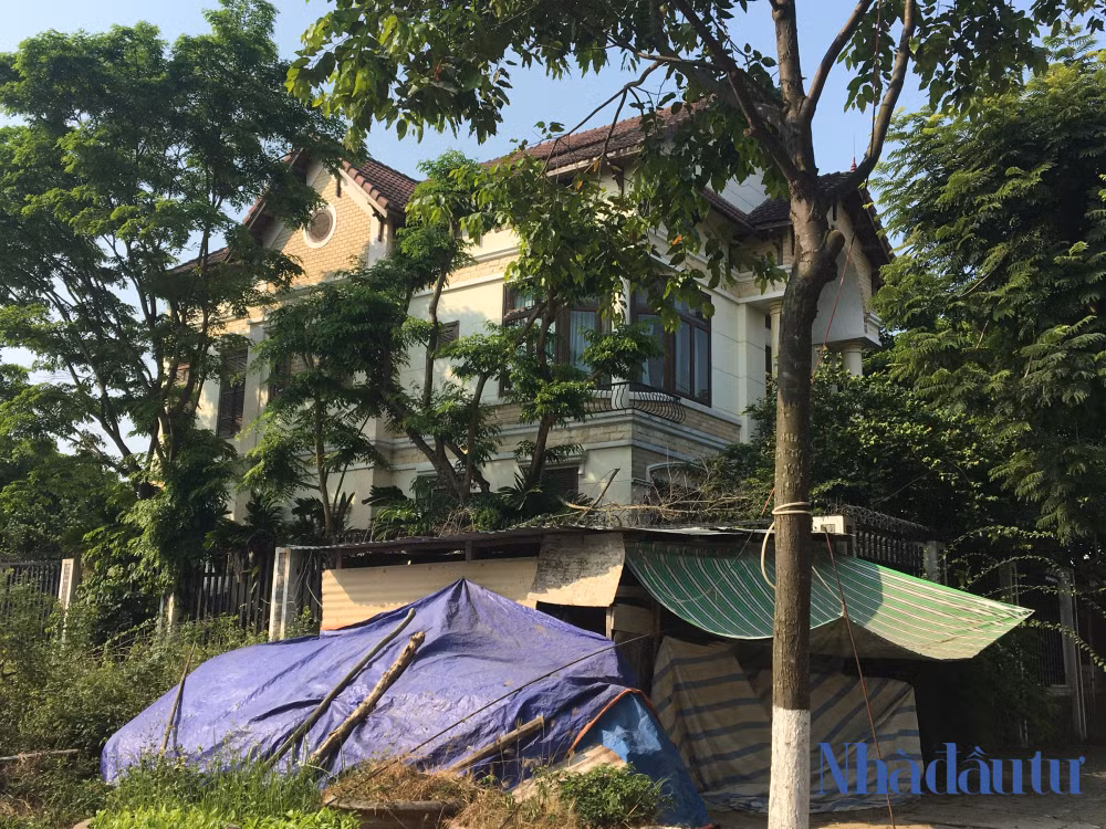Căn biệt thự được bao bọc với hàng rào cao và hàng loạt cây xanh phủ kín xung quanh.