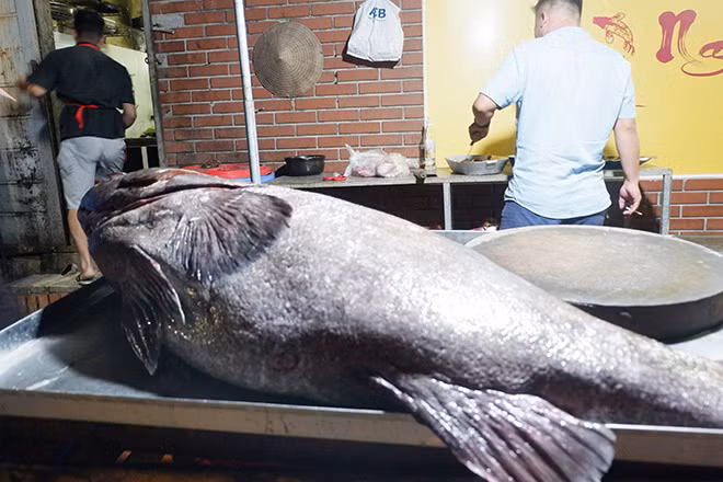 Can canh “thuy quai” hon 1 ta vua "cuoi" may bay ve Ha Noi-Hinh-3