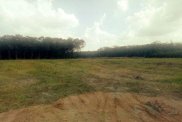 Tu ve du an Khu dan cu Chanh Phu Hoa roi phan lo ban nen-Hinh-2