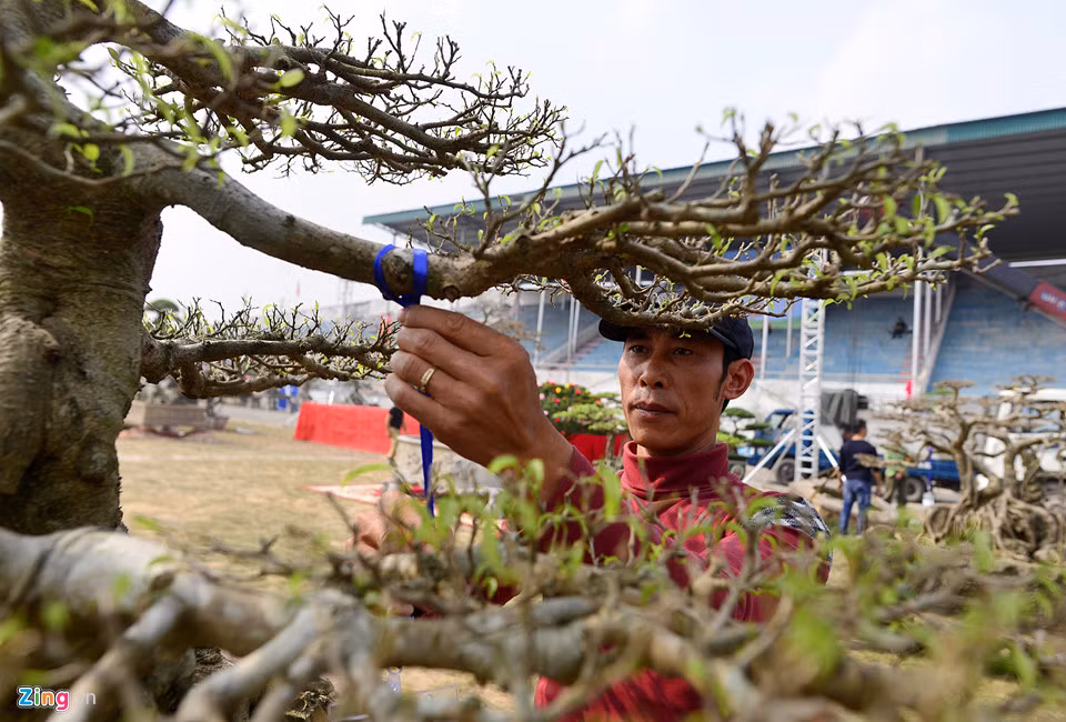 Các nghệ nhân chăm sóc tác phẩm của mình một cách tỉ mẩn.