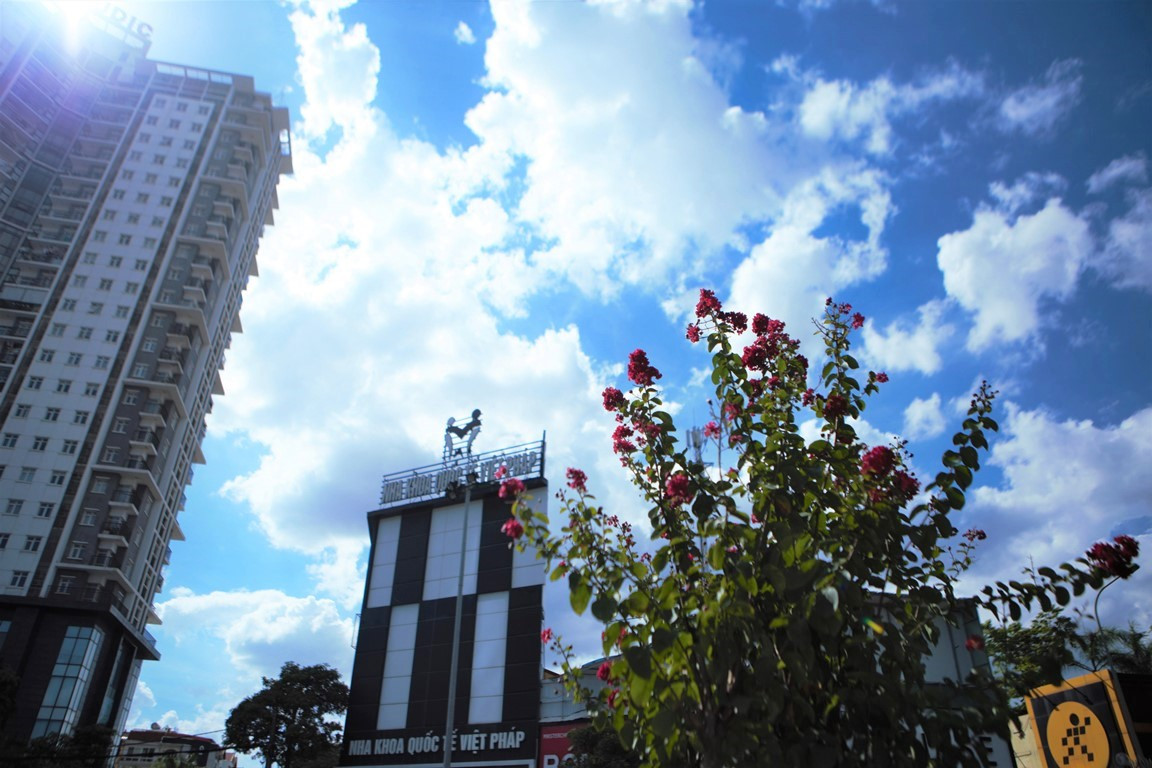 Được biết, việc trồng cây xanh trên tuyến đường Trần Duy Hưng và Nguyễn Chí Thanh nằm trong chương trình trồng thêm một triệu cây xanh (giai đoạn 2016 - 2020) ở Hà Nội, do Chủ tịch UBND TP Hà Nội Nguyễn Đức Chung trực tiếp chỉ đạo.