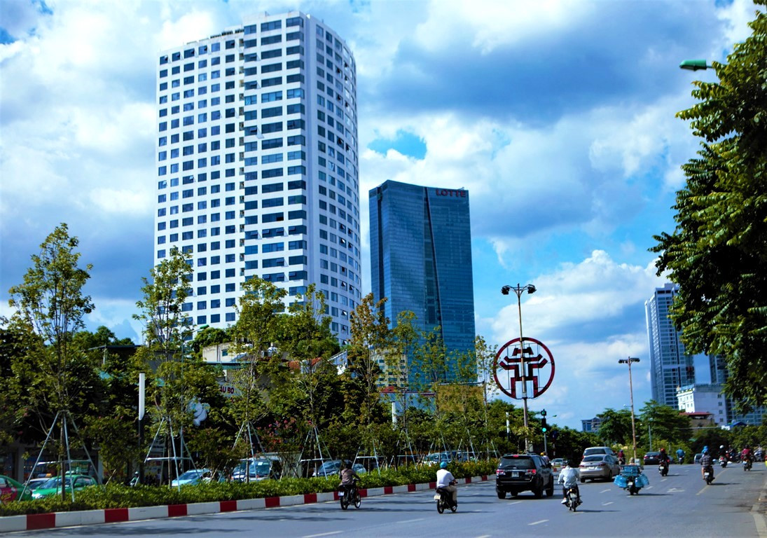 Giữa tháng 1/2018, hàng trăm cây phong được trồng tại dải phân cách trên phố Trần Duy Hưng và Nguyễn Chí Thanh. Từ những thân cây từng được nhiều người ví như ''cành củi khô'' đã mọc ra chồi non, rồi um tùm màu lá xanh, tràn đầy sức sống.