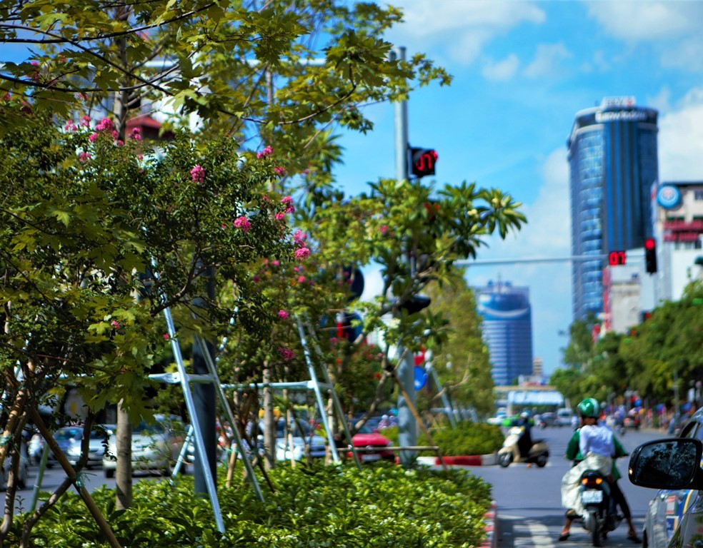 Tầng trên cùng là cây phong, tầng giữa là hoa tường vi cánh mỏng màu hồng và tầng dưới cùng là các loài hoa như: Râm bụt, trang đỏ,… được trồng theo từng đoạn.