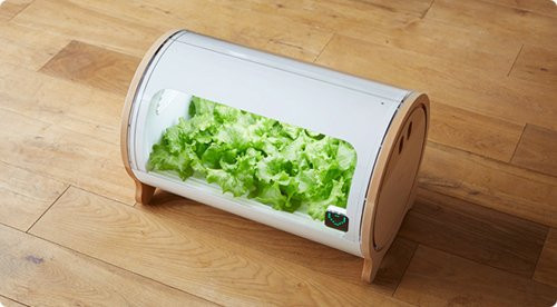 Người Nhật đã phát minh ra một thiết bị trồng rau được gọi là Foop. Foop là sự kết hợp của "Food" (thực phẩm) và "People" (con người). Hệ thốngtrồng rau thủy canh Foop cho phép bạn trồng cây không cần đất mà trồng trong nước. Các loại rau có thể trồng được gồm rau diếp, mùi tây, xà lách rocket, húng quế và tía tô - tất cả các rau trồng từ hạt sẽ phát triển nhanh hơn cả khi trồng trong đất.
