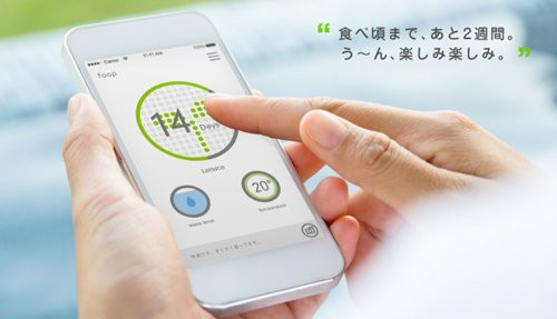 Để giữ thiết kế đơn giản, bạn sẽ không tìm thấy bất kỳ nút nào trên thân hộp trồng cây. Có một màn hình hiển thị nhỏ cho các biểu tượng đơn giản, nhưng những thông tin chi tiết về các mức nhiệt độ, độ ẩm, và ánh sáng và nước của khu vườn khép kín sẽ được gửi đến chiếc điện thoại của bạn. Sử dụng ứng dụng đi kèm với Foop, bạn cũng có thể điều chỉnh các điều kiện môi trường phát triển của vườn.