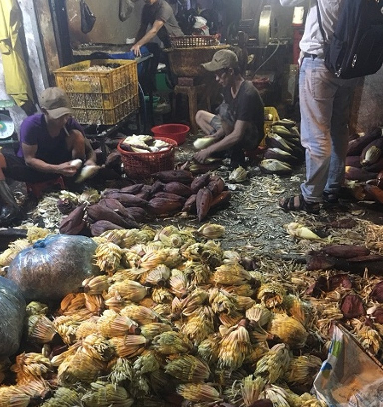 Số lượng lớn bắp chuối được tắm trắng bằng hóa chất.