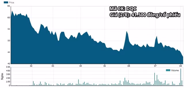Cong ty lien quan den Thu truong Ho Thi Kim Thoa lam an sa sut-Hinh-3