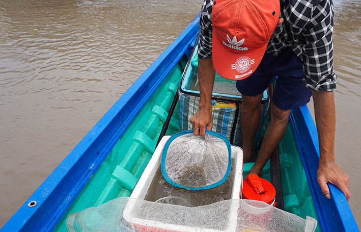 Chỉ cần vài triệu đồng là đã có thể hành nghề đăng cua, cá kèo giống.