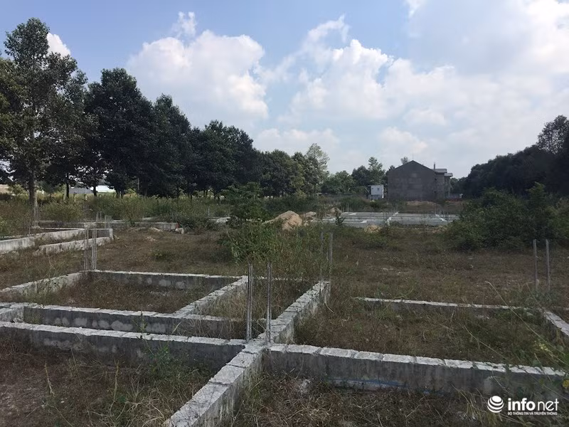 KDT “ma” Nhon Trach: La liet du an bo hoang, chung cu khong nguoi o-Hinh-7