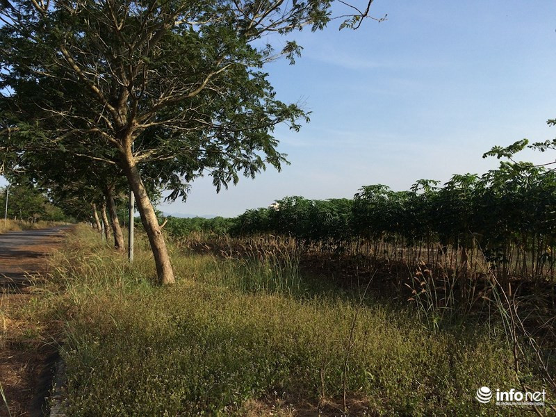 KDT “ma” Nhon Trach: La liet du an bo hoang, chung cu khong nguoi o-Hinh-19