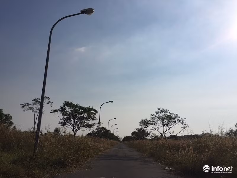 KDT “ma” Nhon Trach: La liet du an bo hoang, chung cu khong nguoi o-Hinh-16