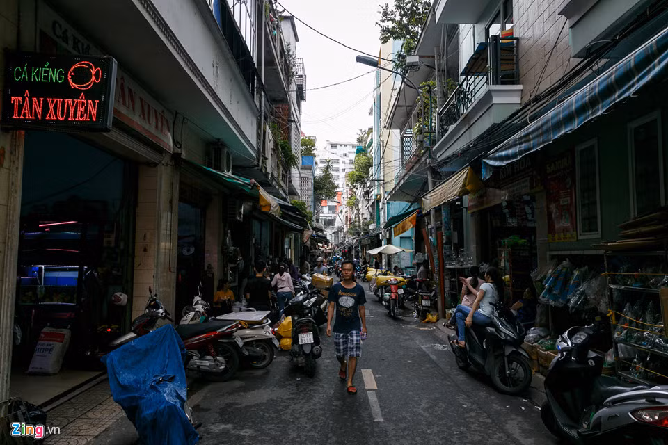 Cho ca canh lau doi nhat Sai Gon