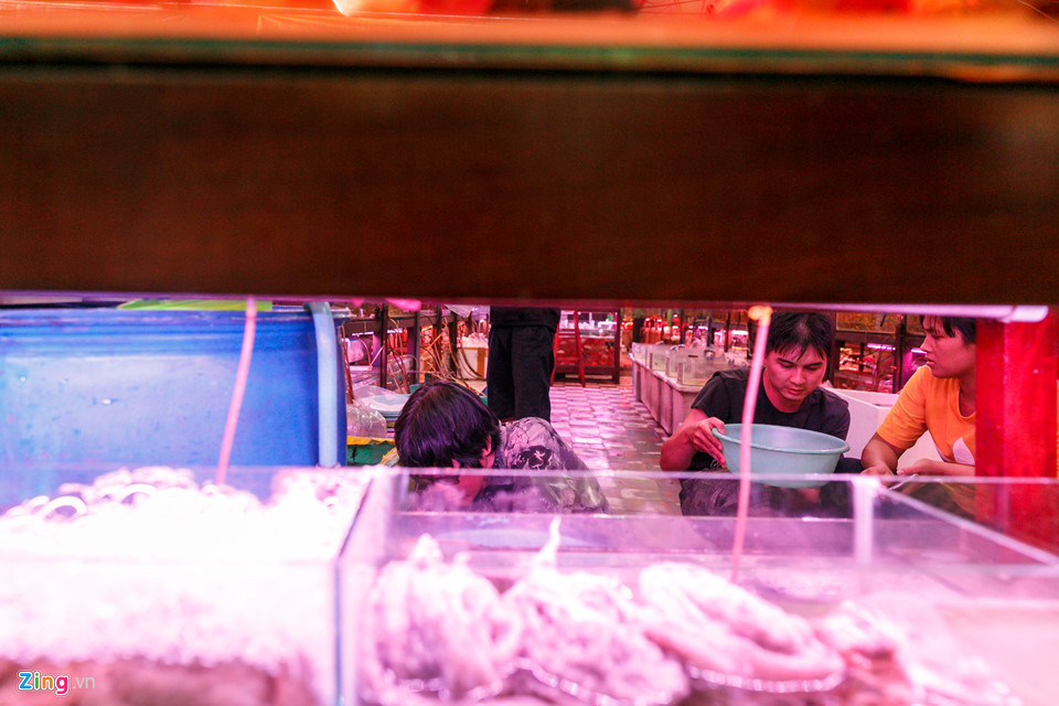 Ngoài là nơi lui tới thường xuyên của những người chơi cá cảnh, chợ cá Lưu Xuân Tín còn là địa điểm để những chủ các tiệm cá cảnh rải rác khắp nơi trong thành phố tìm về, lấy hàng với giá sỉ.