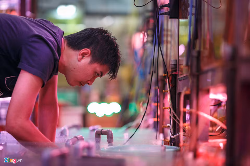 Cho ca canh lau doi nhat Sai Gon-Hinh-8