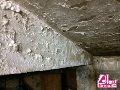 Vôi vữa trên tường đã bong tróc ra hết.