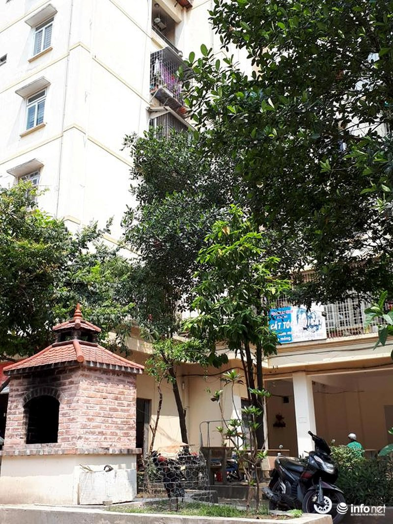 Những diện tích chung được sử dụng nuôi gà, phơi hành tỏi... khiến cả khu đô thị lem nhem, xấu xí.