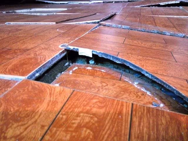 Nguoi dan bat an song canh du an chung cu Eco Lake View-Hinh-4