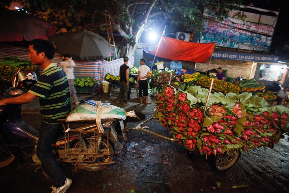 Sen hồng chiếm số lượng nhiều hơn cả.