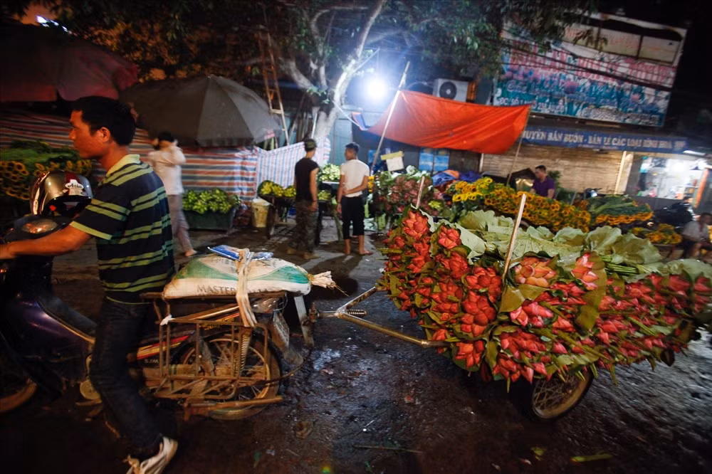 Sen hồng chiếm số lượng nhiều hơn cả.