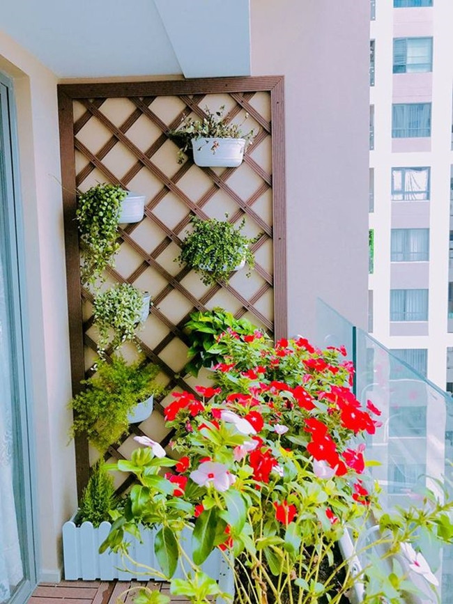 Ban công được Khánh Chi trồng nhiều hoa, cây cảnh xanh tươi.