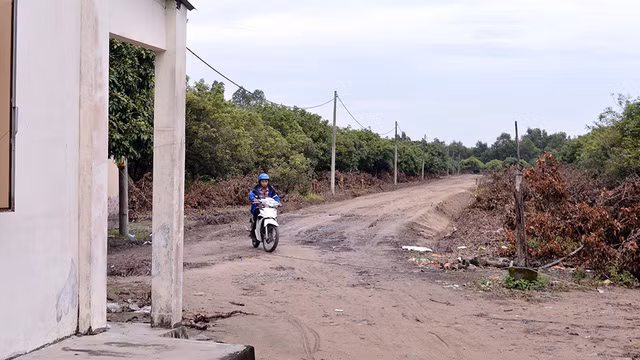 Khu đất được quảng cáo là "dự án Alibaba Tân Thành" (xã Châu Pha, huyện Tân Thành, Bà Rịa - Vũng Tàu) vẫn đang là đất nông nghiệp - Ảnh: Xuân Hưng.