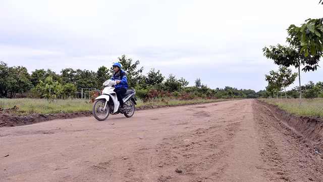 Khu đất được Công ty CP địa ốc Alibaba quảng cáo là "Dự án Alibaba Tân Thành" (xã Châu Pha, huyện Tân Thành, Bà Rịa - Vũng Tàu) vẫn đang là đất nông nghiệp - Ảnh: Xuân Hưng.