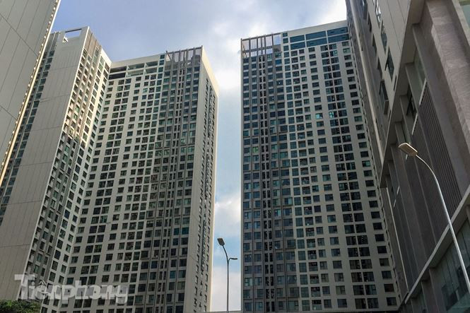 Chung cư Eco Green City gồm 4 tòa (CT1, CT2, CT3, CT4), mỗi tòa cao 35 tầng gồm 1 tầng hầm, tầng 1 đến tầng 6 là phần khối đế của công trình.