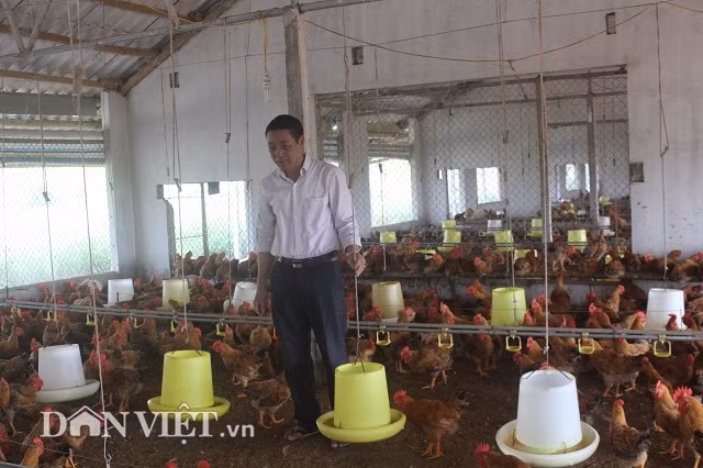 Anh Hoàng Công Điền thiết kế xây dựng trại gà làm 3 dãy nhà với gần 40 chuồng nuôi, mỗi chuồng có khoảng 1.000 con gà thịt. Các chuồng nuôi có chung một kiểu thiết kế: Mỗi chuồng rộng chừng 64m2, được phủ một lớp trấu. Lớp trấu này thường xuyên được thay đảo để đảm bảo vệ sinh sạch sẽ.