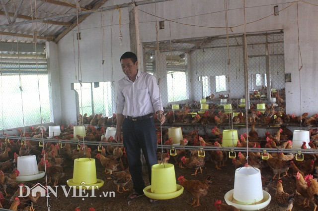 Anh Hoàng Công Điền thiết kế xây dựng trại gà làm 3 dãy nhà với gần 40 chuồng nuôi, mỗi chuồng có khoảng 1.000 con gà thịt. Các chuồng nuôi có chung một kiểu thiết kế: Mỗi chuồng rộng chừng 64m2, được phủ một lớp trấu. Lớp trấu này thường xuyên được thay đảo để đảm bảo vệ sinh sạch sẽ.