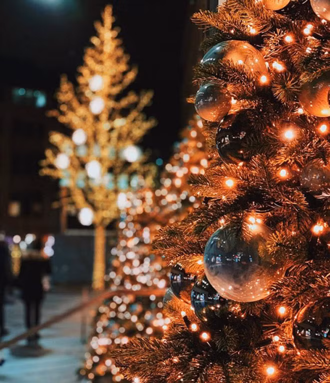 Apple mo chien dich chup anh giang sinh qua iPhone hut fan-Hinh-3