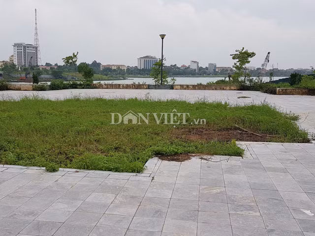 Mặt sân chưa được lát gạch cỏ mọc um tùm. 