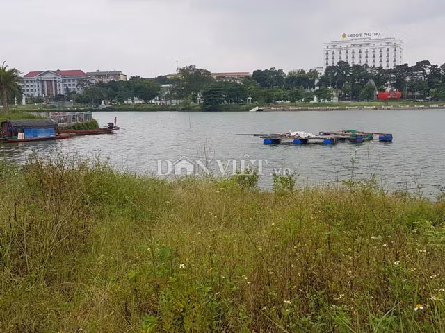 Mặt hồ trong công viên là nơi lý tưởng để người dân nuôi thả cá lồng bè. 