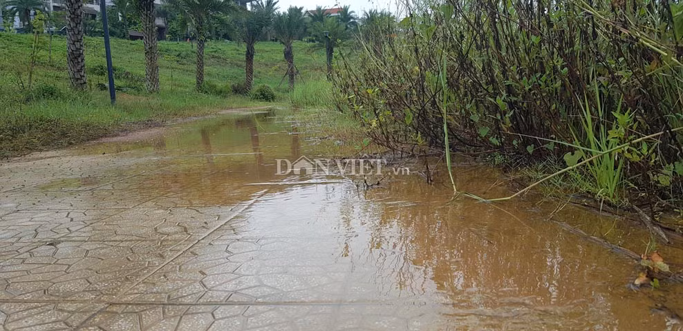 Nước tràn lênh láng trên đường đi dạo. 