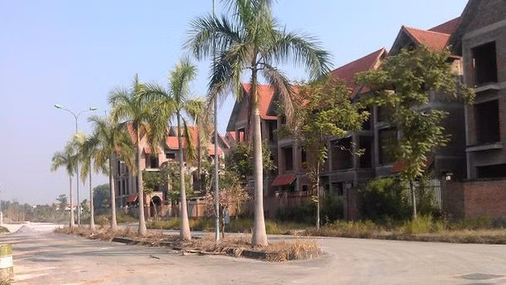 Pho Thu tuong chi dao xu ly du an 