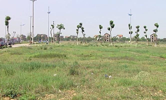 Ben trong nha xa hoi The Diamond Park bi 