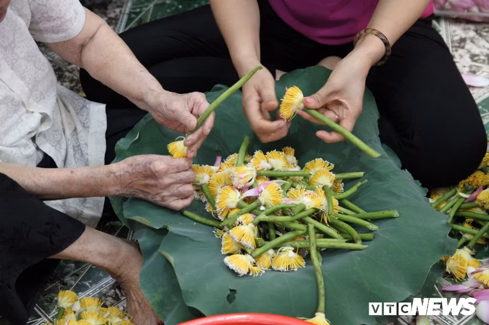 Hoa sen sau khi hái về, được tách lấy gạo – thứ được ví như túi hương của bông sen rồi mới đem ướp. Trong các khâu, việc lấy gạo sen là công đoạn khó nhất, bởi cần sự nhanh tay để hạt gạo không nát, bay mất hương thơm.
